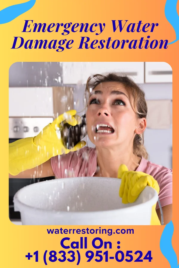 Emergency Water Damage Restoration in Alcester, SD