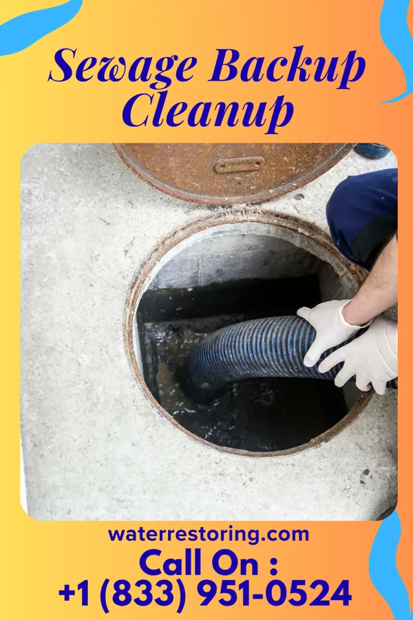 Sewage Backup Cleanup in Alcester, SD