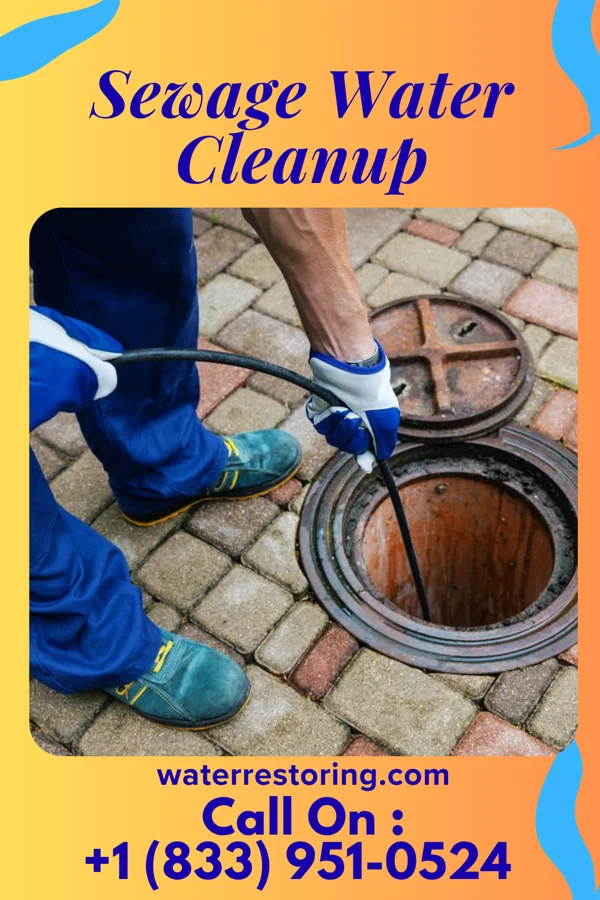 Sewage Water Cleanup in Alcester, SD